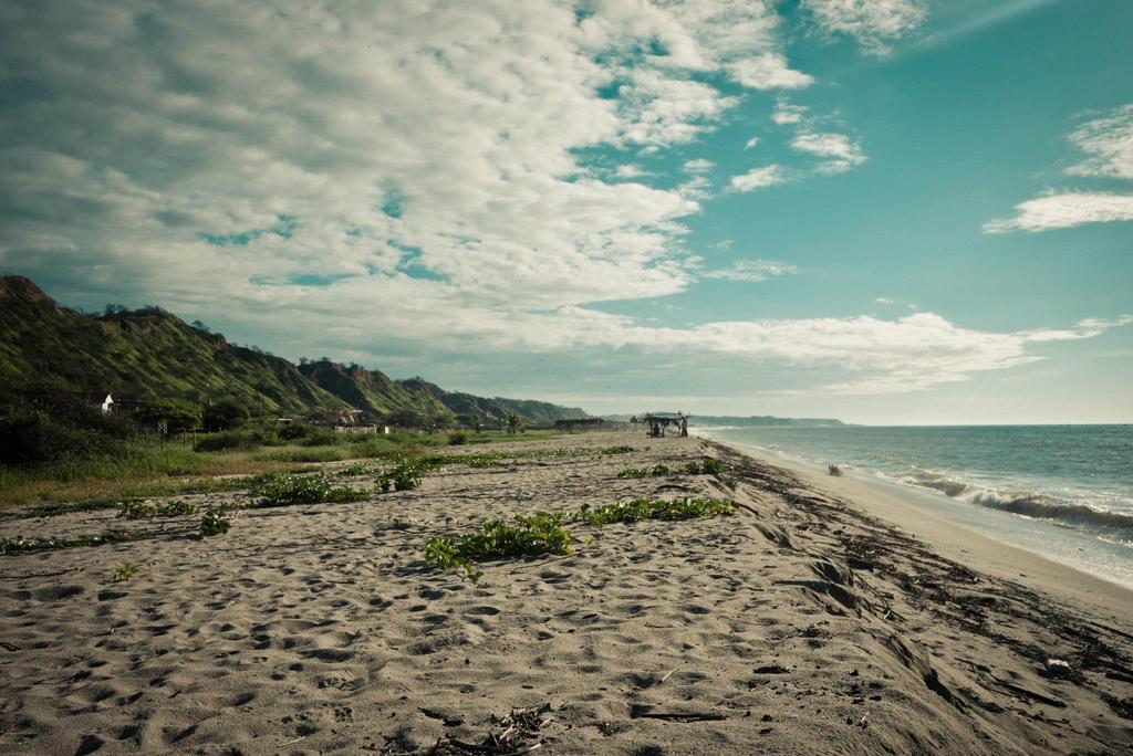 Grillo Tres Puntas Eco-Hostel Соррітос Екстер'єр фото