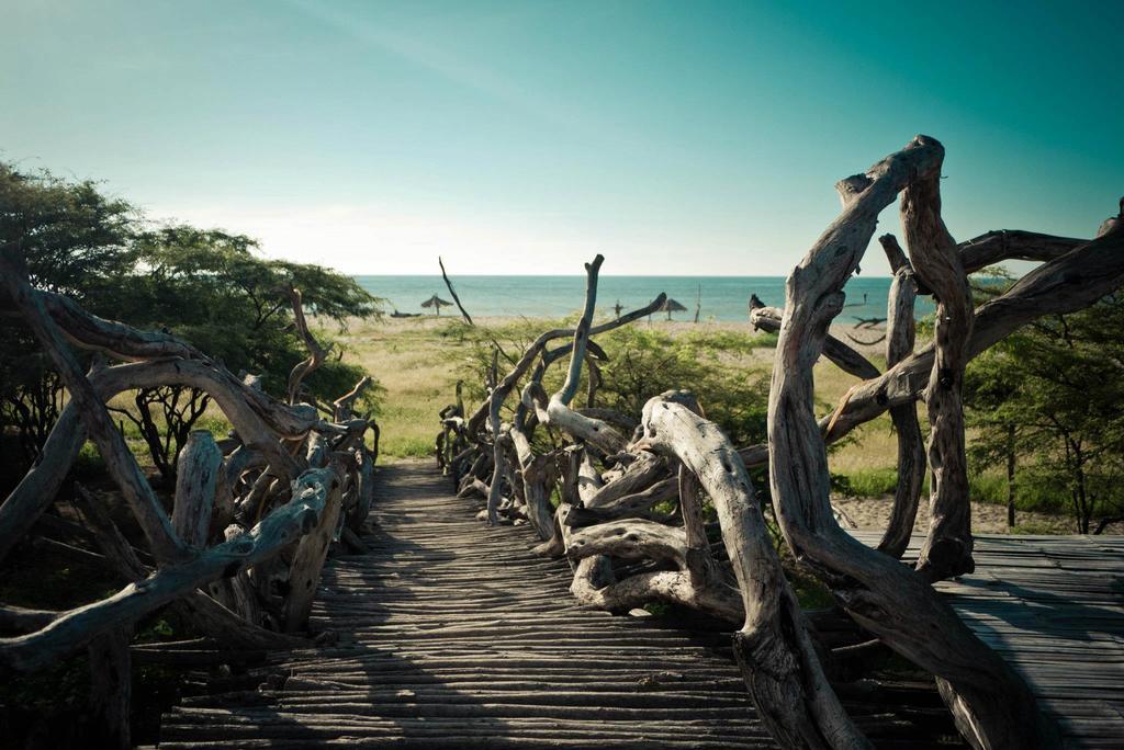 Grillo Tres Puntas Eco-Hostel Соррітос Екстер'єр фото