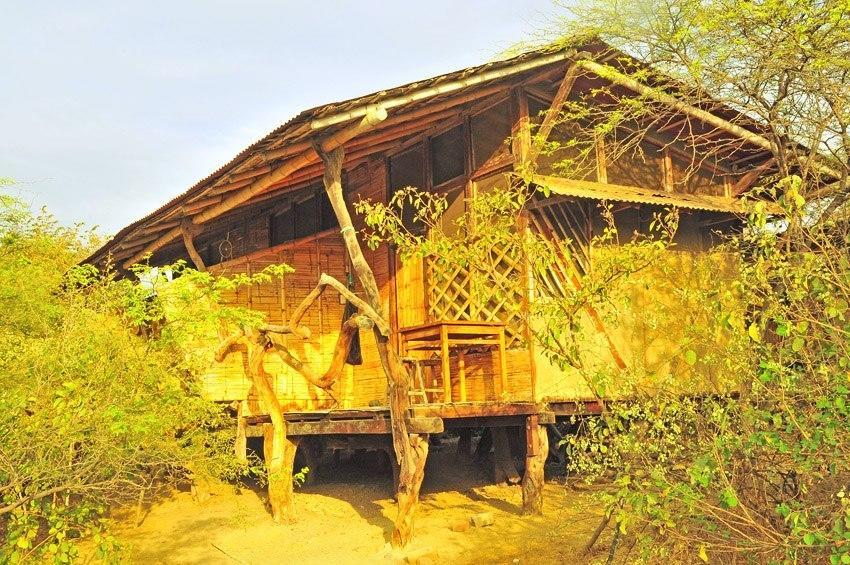 Grillo Tres Puntas Eco-Hostel Соррітос Екстер'єр фото